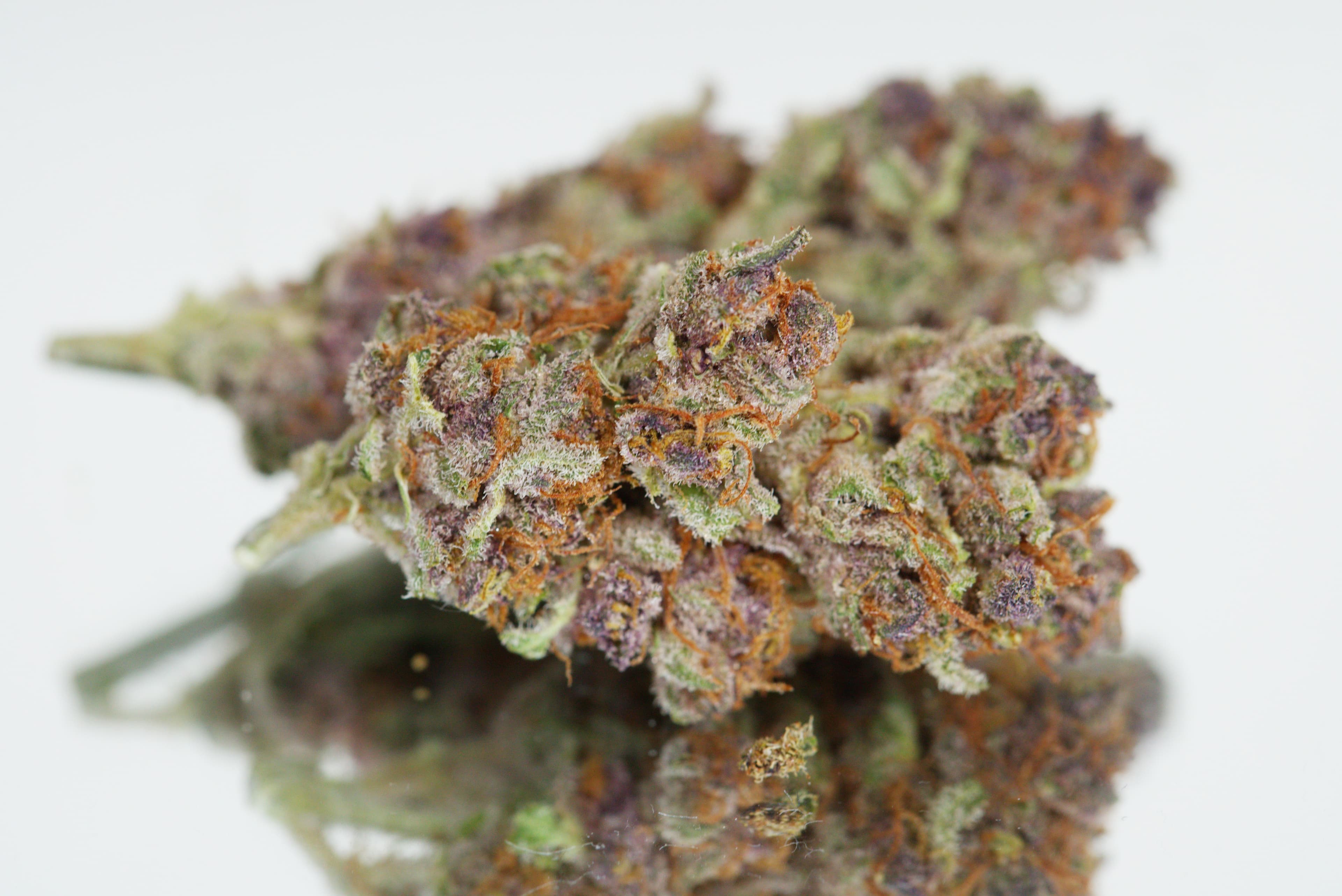 Purple Punch